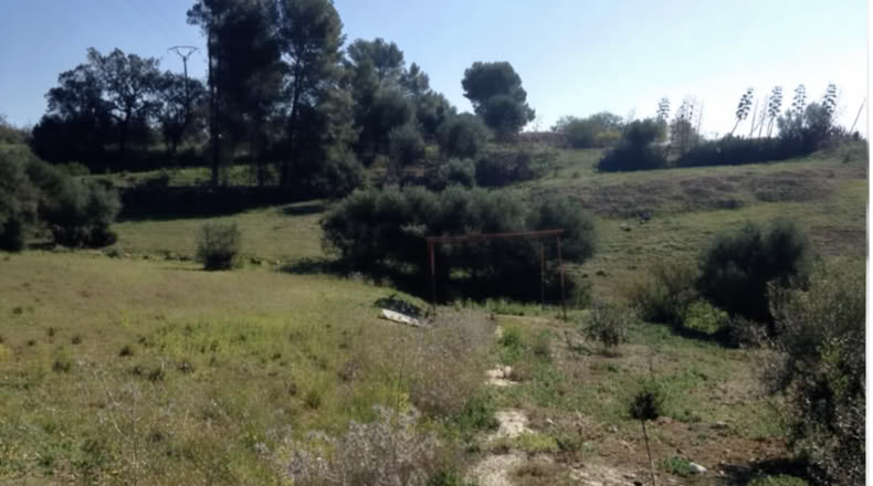 Málaga - Coín - 6540m2