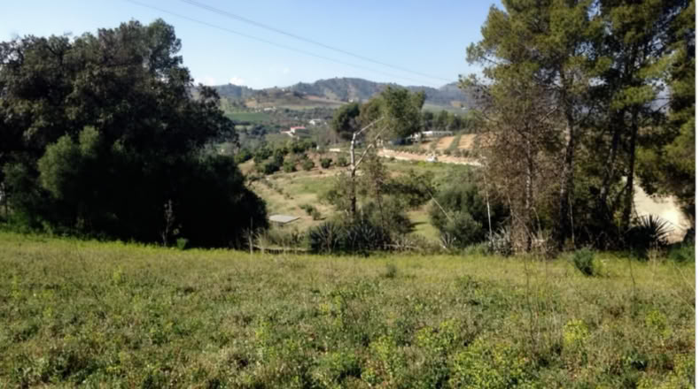 Málaga - Coín - 6540m2