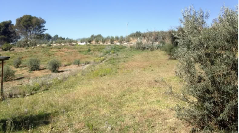 Málaga - Coín - 6540m2