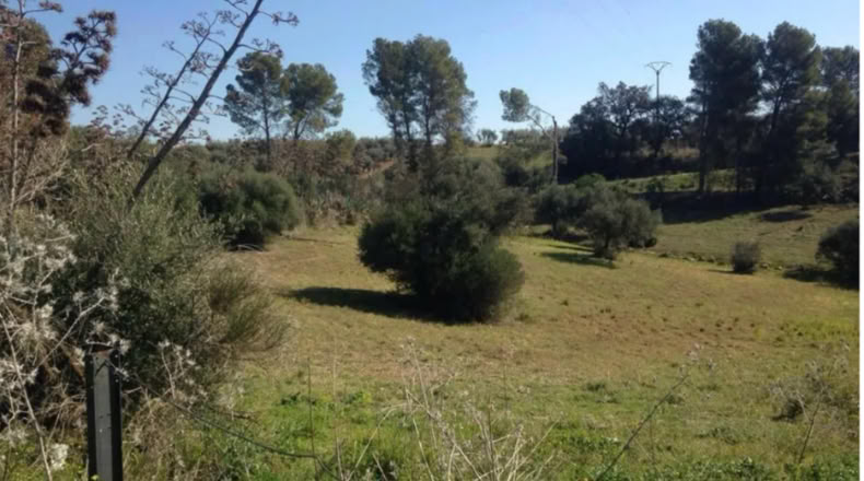 Málaga - Coín - 6540m2
