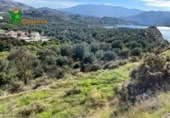 Detached villa with land for sale on España, Acequias, ref: TR248273 photo