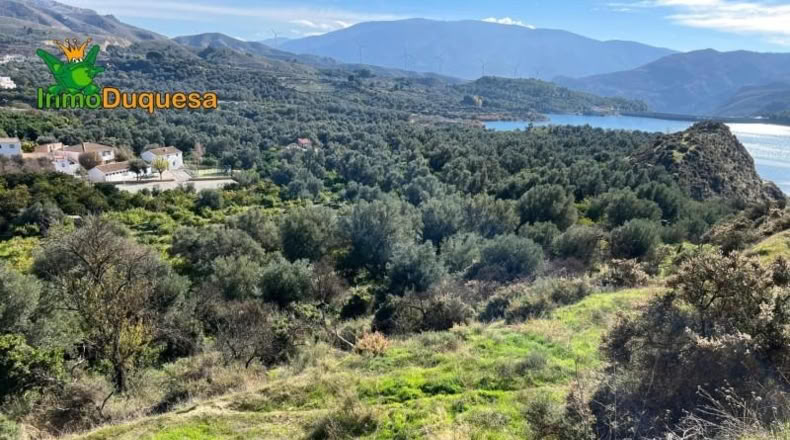 Granada - Talará - 4283m2