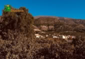 Detached villa with land for sale on España, Acequias, ref: TR248273 photo