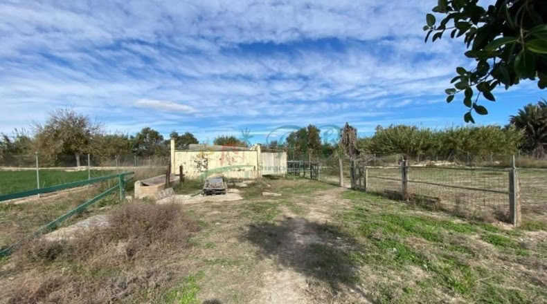 Alicante - Almoradí - 6000m2