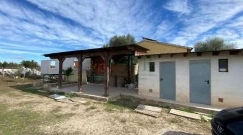 Alicante - Almoradí - 6000m2
