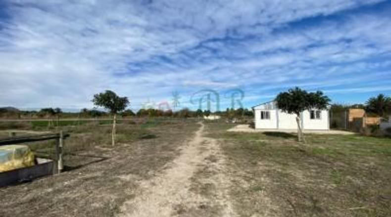 Alicante - Almoradí - 6000m2