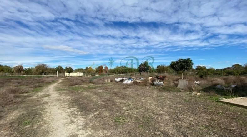 Alicante - Almoradí - 6000m2