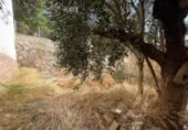 Casa de poble en venda a la España, Antequera, ref.: TR347752 foto