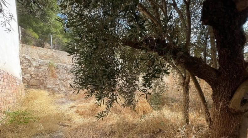 Málaga - Antequera - 223m2