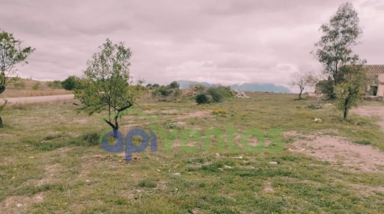 Мурсия - Lorca - 223000m2