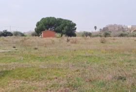 Constantí 18507&nbsp;м²