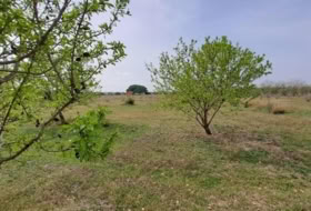 Constantí 18507&nbsp;м²