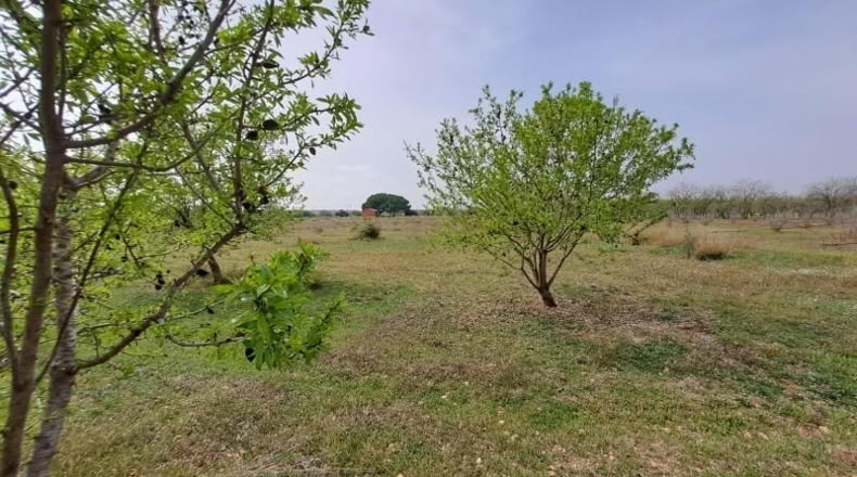 Таррагона - Constantí - 18507m2