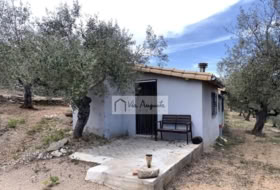 el Perelló 58353&nbsp;м²