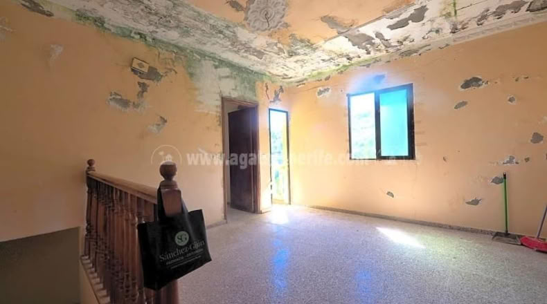 Santa Cruz de Tenerife - Icod de los Vinos - 1163m2