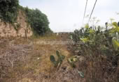 Xalet independent amb terreny en venda a la España, Icod de los Vinos, ref.: TR405714 foto
