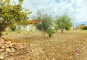 Xalet independent amb terreny en venda a la España, Alguazas, ref.: TR335623 foto