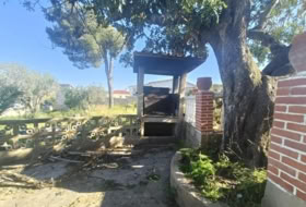 Foto 15