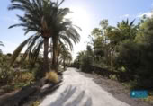 Detached villa with land for sale on España, San Pedro de Breña Alta, ref: TR405191 photo