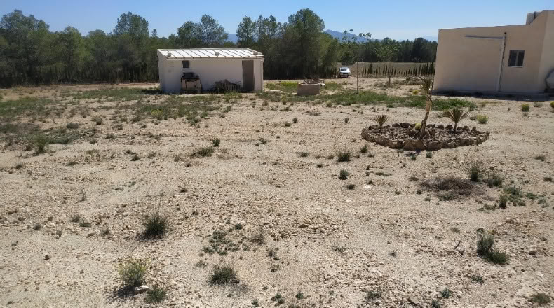 Murcia - Cieza - 47000m2
