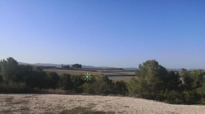 València - Albaida - 33000m2