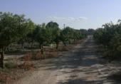 Country house with land for sale on España, Albaida, ref: TR322901 photo
