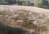 Country house with land for sale on España, Albaida, ref: TR322901 photo