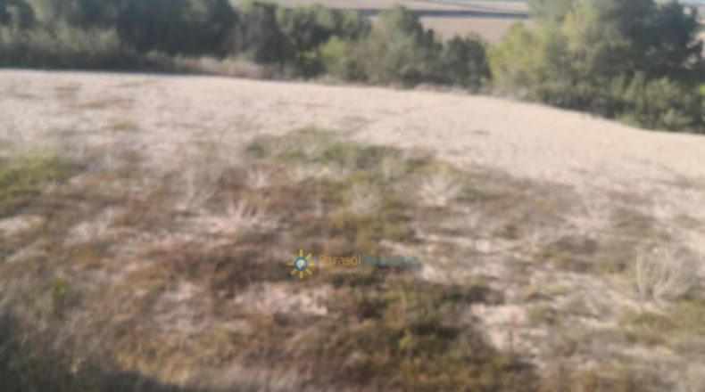 València - Albaida - 33000m2