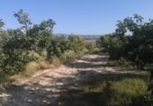 Country house with land for sale on España, Albaida, ref: TR322901 photo