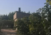 Country house with land for sale on España, Albaida, ref: TR322901 photo