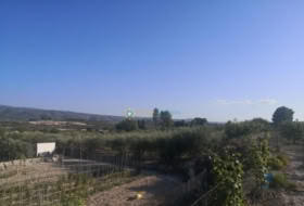 Foto 19
