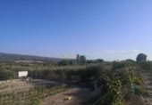 Country house with land for sale on España, Albaida, ref: TR322901 photo