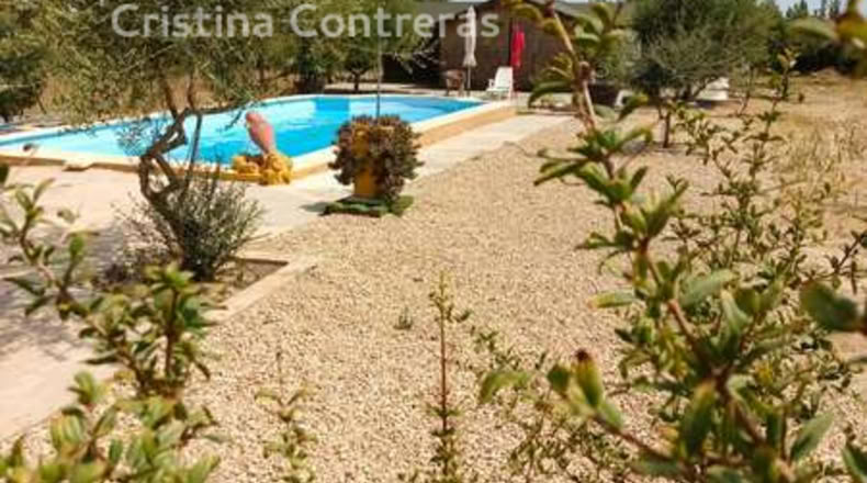 Huelva - Rociana del Condado - 12800m2