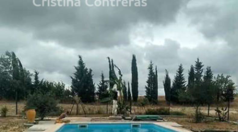 Huelva - Rociana del Condado - 12800m2