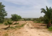 Chalet independiente con terreno en venta en la España, Rociana del Condado, ref: TR140371 foto
