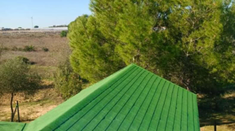 Huelva - Rociana del Condado - 12800m2