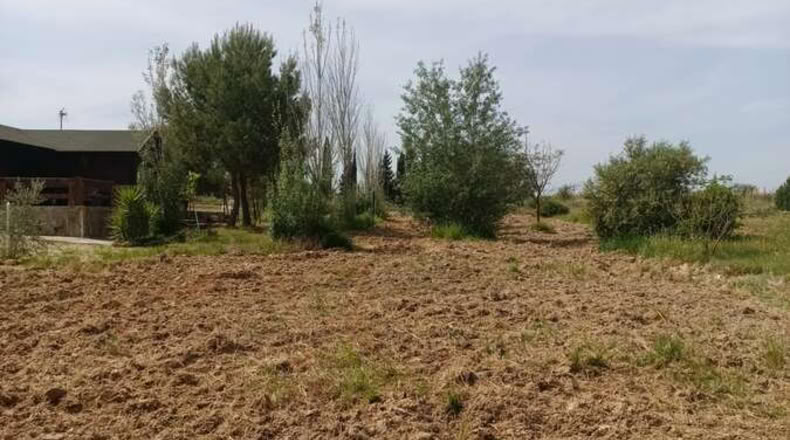 Huelva - Rociana del Condado - 12800m2