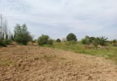 Chalet independiente con terreno en venta en la España, Rociana del Condado, ref: TR140371 foto