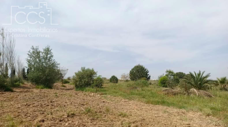 Huelva - Rociana del Condado - 12800m2