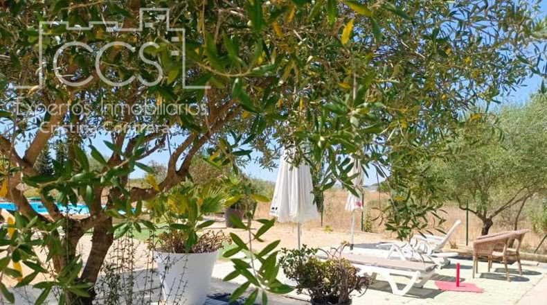 Huelva - Rociana del Condado - 12800m2