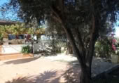 Casa de campo con terreno en venta en la España, Murcia, ref: TR353783 foto