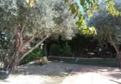 Casa de campo con terreno en venta en la España, Murcia, ref: TR353783 foto