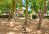 Finca rústica en venda a la España, Còrdova, ref.: TR368027 foto