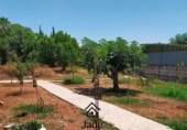 Finca rústica en venda a la España, Còrdova, ref.: TR368027 foto