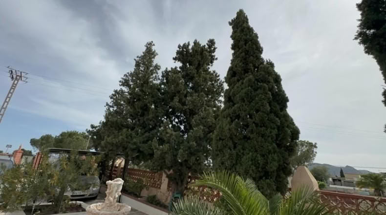 Alicante - Orihuela - 1700m2