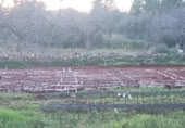 Xalet independent amb terreny en venda a la España, la Vall d'Alba, ref.: TR181717 foto