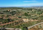 Xalet independent amb terreny en venda a la España, la Vall d'Alba, ref.: TR181717 foto