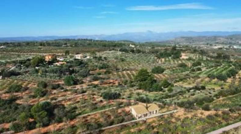 Castellón - Vall d'Alba - 12938m2