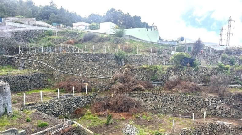 Santa Cruz de Tenerife - Icod de los Vinos - 2749m2