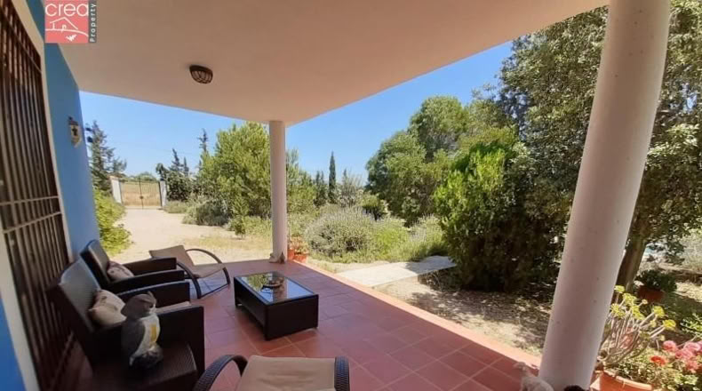 Murcia - Murcia - 7300m2